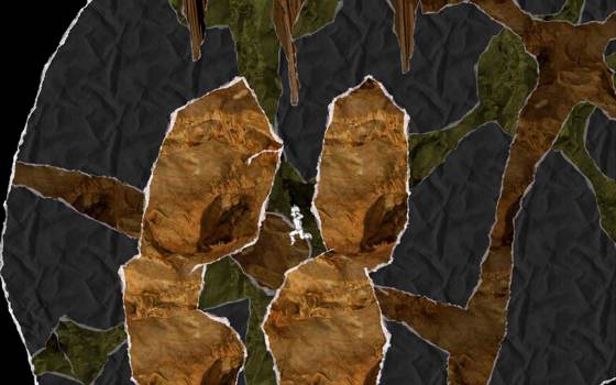 Screenshot of And Yet It Moves from RAWG