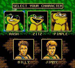 Screenshot of Battletoads & Double Dragon from RAWG