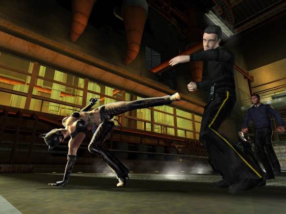 Screenshot of Catwoman from RAWG