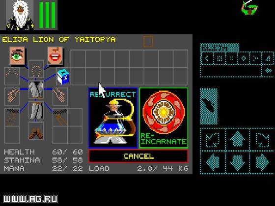 Screenshot of Dungeon Master from RAWG