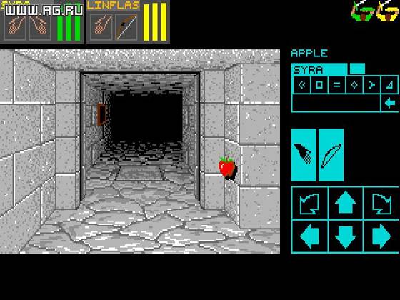 Screenshot of Dungeon Master from RAWG