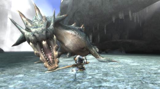 Screenshot of Monster Hunter Tri from RAWG