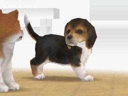 Screenshot of Nintendogs: Labrador & Friends from RAWG