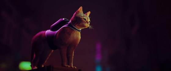 Screenshot of Stray from RAWG