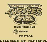 Screenshot of Teenage Mutant Ninja Turtles II: Back from the Sewers from RAWG