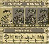 Screenshot of Teenage Mutant Ninja Turtles II: Back from the Sewers from RAWG