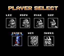 Screenshot of Teenage Mutant Ninja Turtles: Tournament Fighters from RAWG